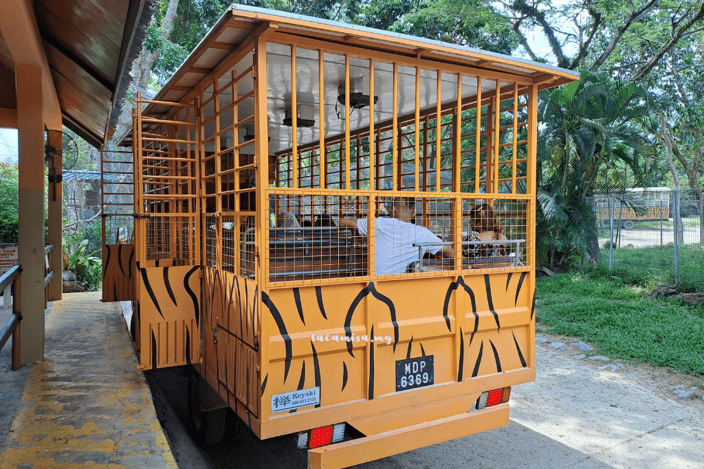Safari Afamosa Tour