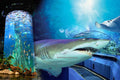 Aquaria KLCC