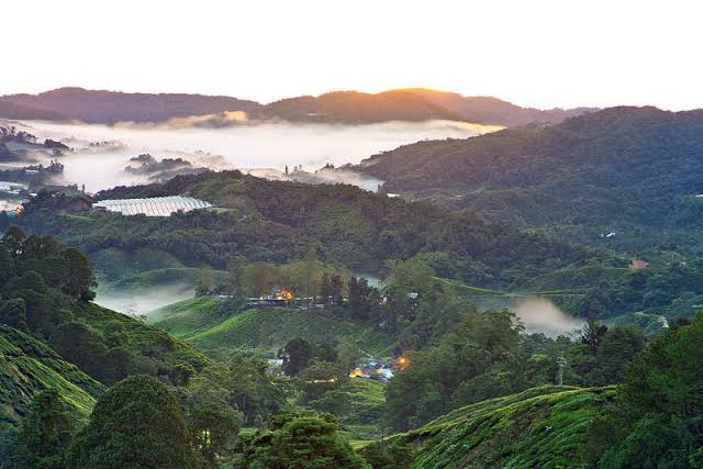 Cameron Highlands 2 Days/1 Night