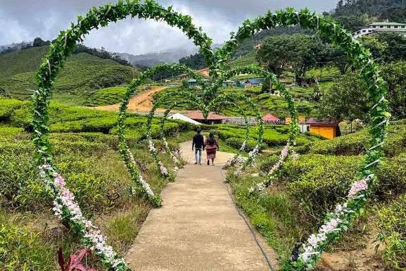 Cameron Highlands 2 Days/1 Night