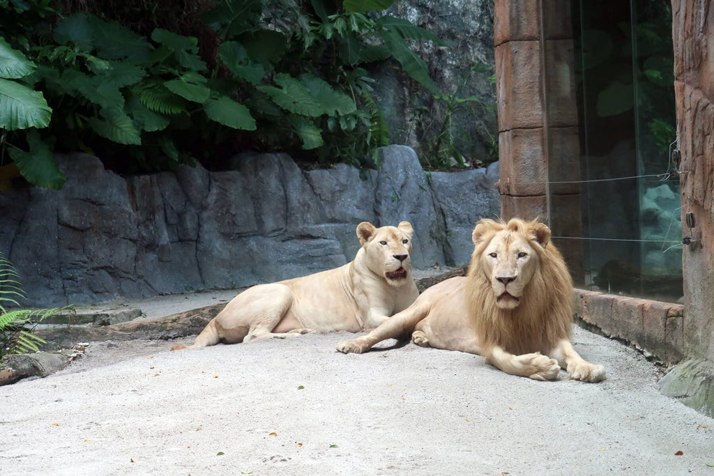 Sunway Lagoon